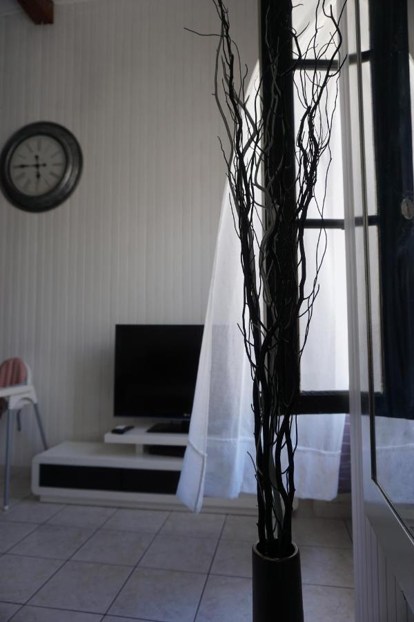 Le Telly-Centre Ville-Petits Prix-Ideal Pour Rayonner Sur La Ville Carcassone Kültér fotó